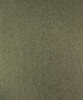 Cervet 12114 M10070 by Barrow Designer Fabric 1907 79% POLYESTER FILAMENT-TEXTURED 21% POLYESTER FILAMENT NON-TEXTURED CHINA 50,000 DOUBLE RUBS </p><p>Repeat: Horizontal: and Vertical: 54" Minimum - Swanky Fabrics -