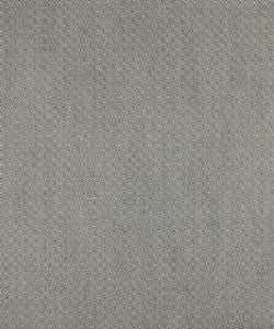 Pavia 11916 M10310 By Barrow Industries Fabric