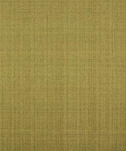 Mount Hope Alfalfa M7709 by Barrow Fabric