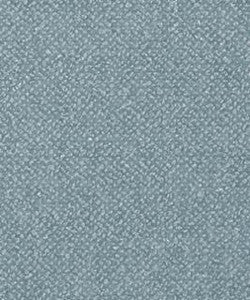 Genesis 31905 M11113 by Barrow Industries Fabric