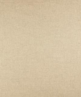 Afton 51107 M9582 by Barrow Designer Fabric MGALL18 100% POLYESTER FILAMENT NON-TEXTURED CHINA 42,000 DOUBLE RUBS </p><p>Repeat: Horizontal: 0" and Vertical: 0" 54" Minimum - Swanky Fabrics -