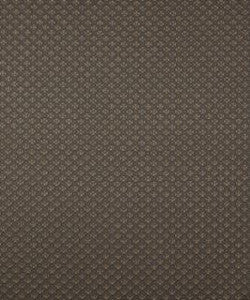 Bisect Hematite M8673 By Barrow Industries Fabric