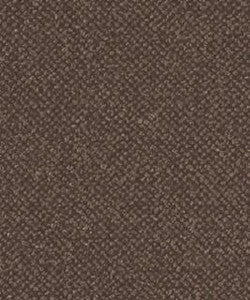 Genesis 2206 M11113 by Barrow Industries Fabric