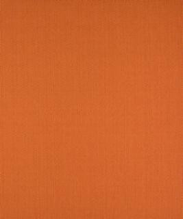 Hasselhoff Tangerine M9446 by Barrow Designer Fabric 1413 65% COTTON
35% POLYESTER CHINA 50,000 DOUBLE RUBS </p><p>Repeat: Horizontal: and Vertical: 54" Minimum - Swanky Fabrics -