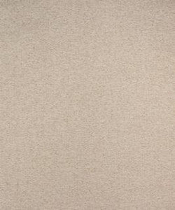 Wilton 21003 M9979 by Barrow Fabric