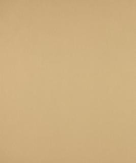 No Worries Platinum M9166 by Barrow Fabric 12CL06 67% POLYESTER (F)
33% POLYESTER (S) CHINA 50,000 DOUBLE RUBS </p><p>Repeat: Horizontal: N/A and Vertical: N/A 54" Minimum - Fabric Carolina -