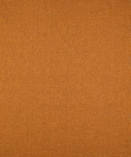 Thick And Thin Nutmeg M9269 by Barrow Industries Designer Fabric Performance Fabrics/12CL06 100% POLYESTER FILAMENT-TEXTURED Asia 50,000 DOUBLE RUBS Horizontal: N/A and Vertical: N/A 60" - Swanky Fabrics -