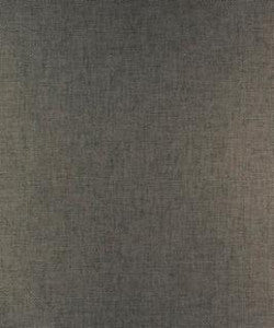 Perception Graphite M9701 By Barrow Industries Fabric