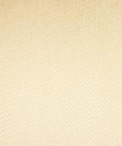 Exclaim Ivory M6795 By Barrow Industries Fabric