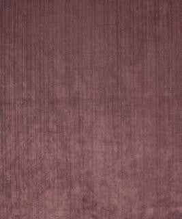 Holder Lilac M9277 by Barrow Fabric 1213 95% POLYESTER
5% NYLON CHINA 30,000 DOUBLE RUBS </p><p>Repeat: Horizontal: and Vertical: 54" Minimum - Fabric Carolina -