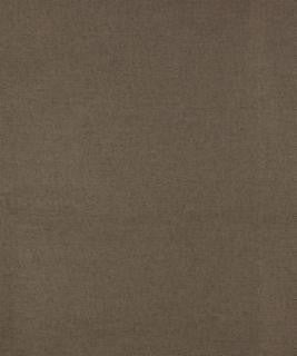 Planetree Falcon M9582 by Barrow Designer Fabric 14C02 100% POLYESTER FILAMENT NON-TEXTURED CHINA 42,000 DOUBLE RUBS </p><p>Repeat: Horizontal: 0" and Vertical: 0" 54" Minimum - Swanky Fabrics -