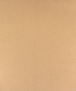 Netleaf Ivory M9590 by Barrow Industries Designer Fabric Casual Living/14C01 100% POLYESTER Asia 21,000 DOUBLE RUBS Horizontal: - and Vertical: - 57" - Swanky Fabrics -