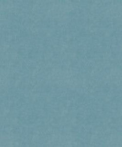 Counterpoint 62001 M9989 By Barrow Industries Fabric