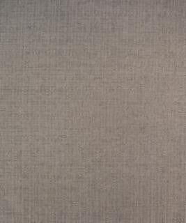 Wolcott 22304 M10040 by Barrow Industries Designer Fabric Textures/Solids/17C05 100% POLYESTER Asia 15,000 DOUBLE RUBS Horizontal: - and Vertical: - 56" - Swanky Fabrics -