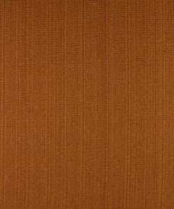 Runaway Pumpkin M9497 by Barrow Fabric