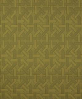 Labyrinth Bonsai M9010 by Barrow Fabric 12CL03 36% COTTON 33% POLYESTER (F) 31% OLEFIN (F) CHINA 15,000 DOUBLE RUBS </p><p>Repeat: Horizontal: 6-3/4" and Vertical: 6-3/4" 54" Minimum - Fabric Carolina -