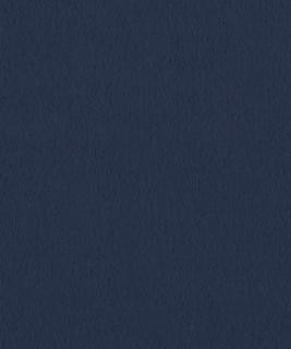 Santiago 1907 M10751 by Barrow Industries Fabric Barrow Industries Fabric Santiago 1907 M10751Fabric DRS SANTIAGO 100% POLYESTER KNIT PILE FABRIC Imported </p><p>Repeat: H: , V: 57" - Fabric Carolina -
