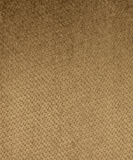 Munro Camel M6795 by Barrow Designer Fabric 2769 70% RAYON 19% POLYESTER 11% COTTON CHINA 39,000 DOUBLE RUBS </p><p>Repeat: Horizontal: N/A and Vertical: N/A 54" Minimum - Swanky Fabrics -