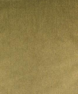 Tuliptree Fern M9588 by Barrow Industries Designer Fabric Casual Living/14C01 100% POLYESTER Asia 12,000 DOUBLE RUBS Horizontal: - and Vertical: - 57" - Swanky Fabrics -