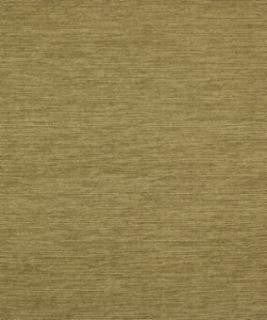 Bravest Sprout M9500 by Barrow Fabric 15CL04 81% POLYESTER 19% ACRYLIC CHINA 30,000 DOUBLE RUBS </p><p>Repeat: Horizontal: N/A and Vertical: N/A 54" Minimum - Fabric Carolina -