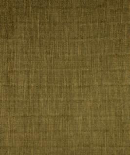 Irena Lichen M8120 by Barrow Fabric 2813 54% RAYON 29% POLYESTER 17% COTTON CHINA 12,000 DOUBLE RUBS </p><p>Repeat: Horizontal: N/A and Vertical: N/A 54" Minimum - Fabric Carolina -