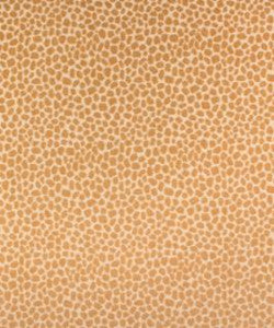Perdita 21115 M9641 by Barrow Fabric