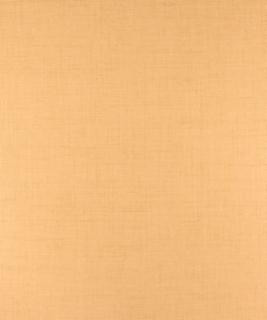 Tenacious Maize M9437 by Barrow Fabric 15CL04 100% POLYESTER FILAMENT-TEXTURED CHINA 50,000 DOUBLE RUBS </p><p>Repeat: Horizontal: N/A and Vertical: N/A 54" Minimum - Fabric Carolina -