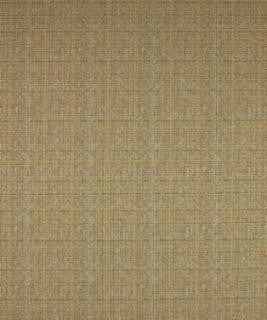 Composure Ash M8891 by Barrow Fabric 10C01 51% POLYESTER (F) 49% COTTON CHINA 18,000 DOUBLE RUBS </p><p>Repeat: Horizontal: N/A and Vertical: N/A 54" Minimum - Fabric Carolina -
