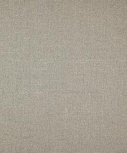 Thick And Thin Flannel M9269 by Barrow Fabric
