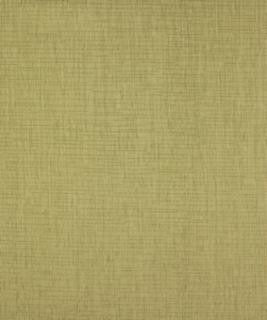 Core Banks Sprout M8776 by Barrow Designer Fabric 11C05 100% POLYESTER CHINA 12,000 DOUBLE RUBS </p><p>Repeat: Horizontal: N/A and Vertical: N/A 54" Minimum - Swanky Fabrics -
