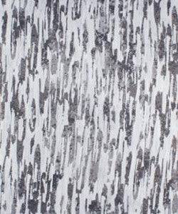 Spirketting Birch M9941 by Barrow Fabric