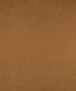 All-Star Tobacco M6802 by Barrow Industries Designer Fabric Performance Fabrics/12CL06 56% POLYESTER (S)
44% POLYESTER (F) Asia 40,000 DOUBLE RUBS Horizontal: N/A and Vertical: N/A 56" - Swanky Fabrics -