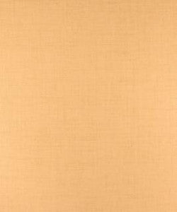Lanyard Maize M9437 by Barrow Fabric