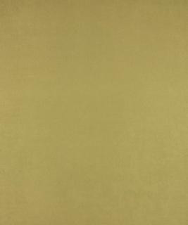 All-Star Verde M6802 by Barrow Industries Designer Fabric Performance Fabrics/12CL06 56% POLYESTER (S)
44% POLYESTER (F) Asia 40,000 DOUBLE RUBS Horizontal: N/A and Vertical: N/A 56" - Swanky Fabrics -