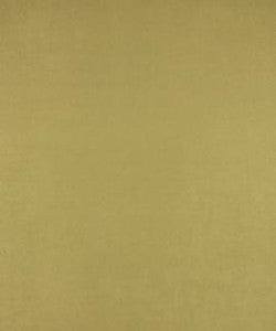 All-Star Verde M6802 by Barrow Fabric