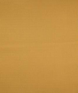 Terrapin Creek Papaya M8926 by Barrow Fabric