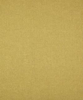 Thick And Thin Thyme M9269 by Barrow Fabric 12CL06 100% POLYESTER FILAMENT-TEXTURED CHINA 50,000 DOUBLE RUBS </p><p>Repeat: Horizontal: N/A and Vertical: N/A 54" Minimum - Fabric Carolina -