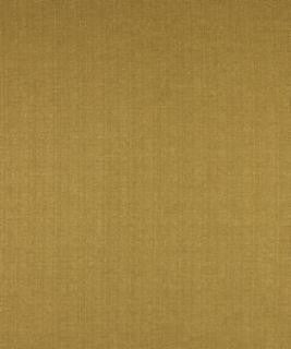 Defoe Camel M7286 by Barrow Designer Fabric 2769 52% POLYESTER FILAMENT-TEXTURED 48% POLYESTER FILAMENT NON-TEXTURED CHINA 30,000 DOUBLE RUBS </p><p>Repeat: Horizontal: N/A and Vertical: N/A 54" Minimum - Swanky Fabrics -