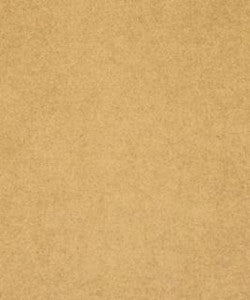 Somerville Camel M8915 by Barrow Fabric