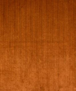 Sheen Tamarind M9277 by Barrow Fabric