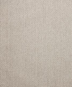 Sumptuous 11001 M10351 By Barrow Industries Fabric