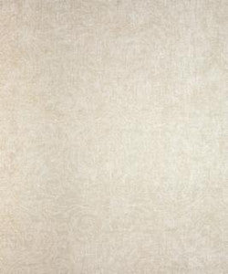 Comet 11102 T11788 by Barrow Industries Fabric