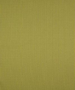 Terrapin Creek Kiwi M8926 by Barrow Fabric