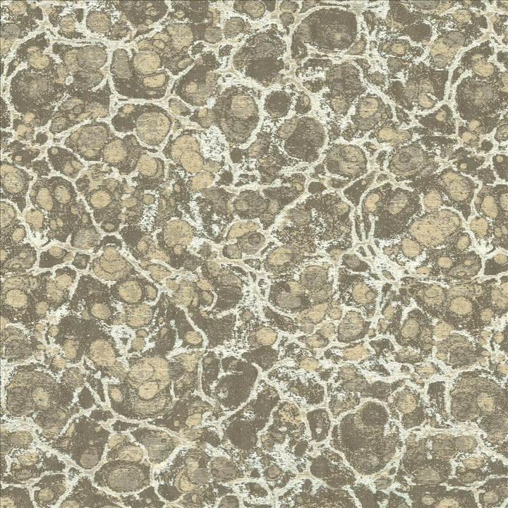 Imperial Beach Silver by Kasmir Fabric 5141 100% Polyester
 CHINA </p><p>Repeat: Horizontal: 14 4/8 inches and Vertical: 17 4/8 inches 55 - Fabric Carolina -