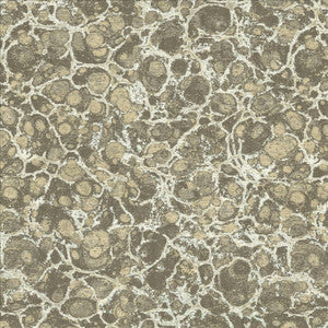 Imperial Beach Silver by Kasmir Fabric