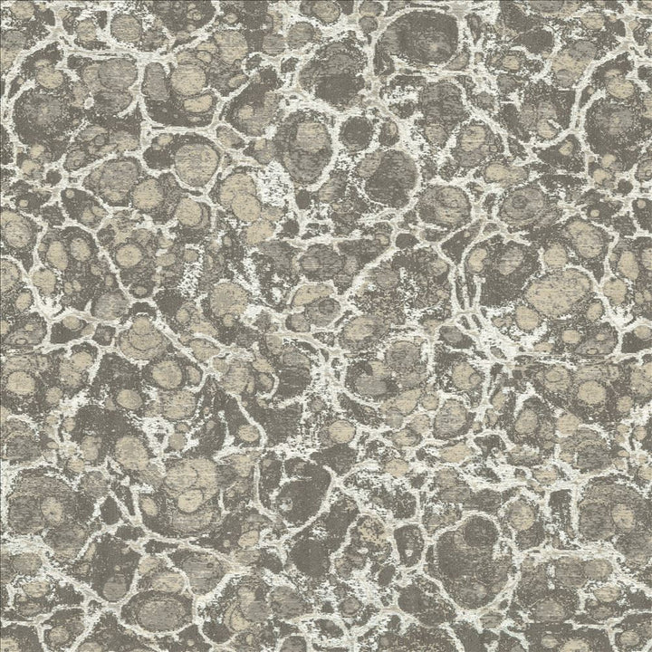Imperial Beach Silver by Kasmir Fabric 5141 100% Polyester
 CHINA </p><p>Repeat: Horizontal: 14 4/8 inches and Vertical: 17 4/8 inches 55 - Fabric Carolina -