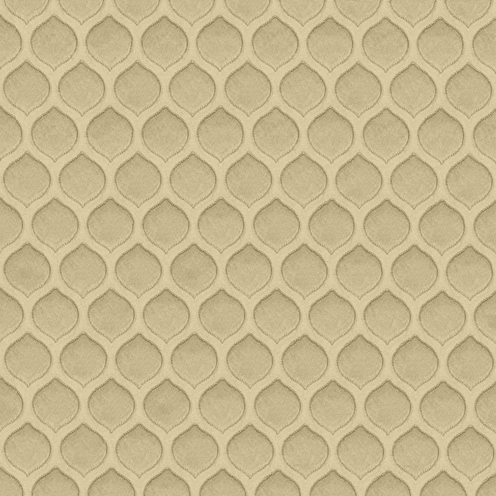 Imprint Fog by Kasmir Fabric 5119 100% Polyester
 INDIA </p><p>Repeat: Horizontal: 1 1/8 inches and Vertical: 1 7/8 inches 54 - Fabric Carolina -