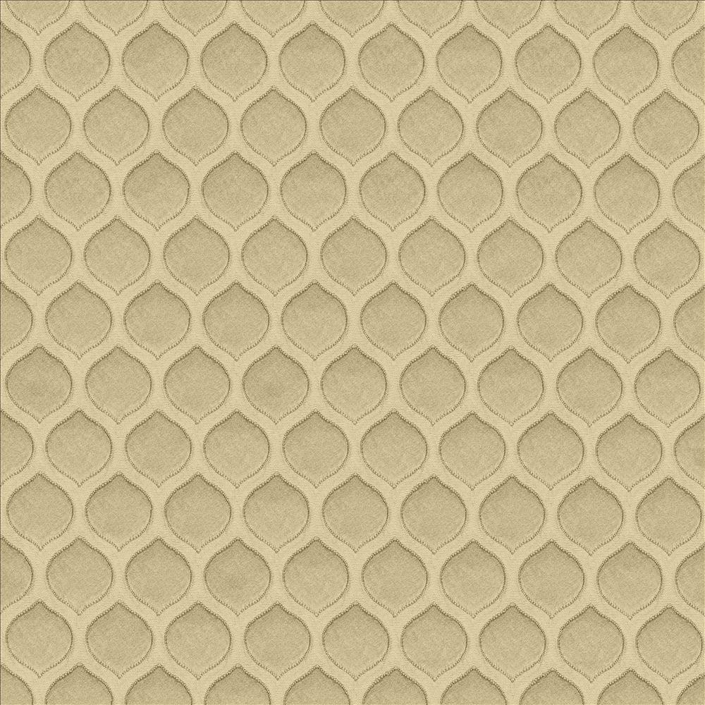 Imprint Fog by Kasmir Fabric 5119 100% Polyester
 INDIA </p><p>Repeat: Horizontal: 1 1/8 inches and Vertical: 1 7/8 inches 54 - Fabric Carolina -