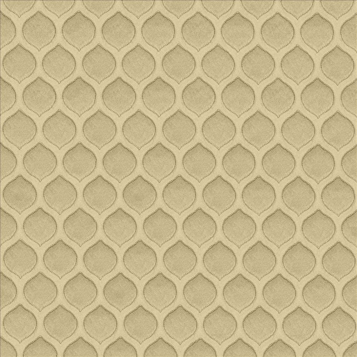 Imprint Fog by Kasmir Fabric 5119 100% Polyester
 INDIA </p><p>Repeat: Horizontal: 1 1/8 inches and Vertical: 1 7/8 inches 54 - Fabric Carolina -