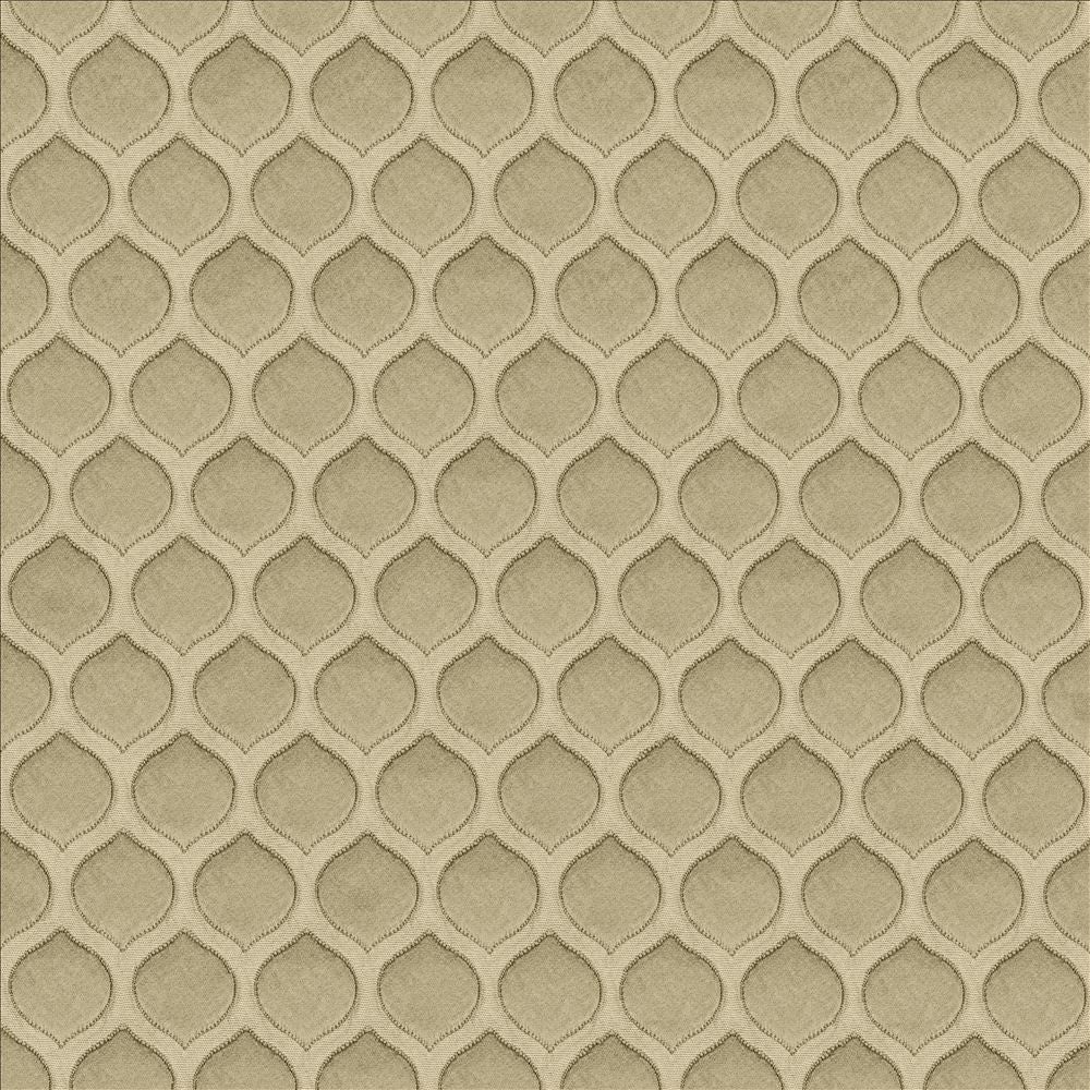 Imprint Pewter by Kasmir Fabric 5119 100% Polyester
 INDIA </p><p>Repeat: Horizontal: 1 1/8 inches and Vertical: 1 7/8 inches 54 - Fabric Carolina -